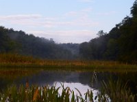 09-02-14-Nanjemoy-0968