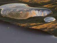 10-05-14-Mattawoman-3178