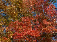 10-25-14-Rocky Gorge-3658