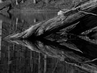 04-12-15-Rocky Gorge-21096