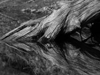 04-12-15-Rocky Gorge-21102