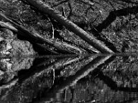 04-12-15-Rocky Gorge-21110