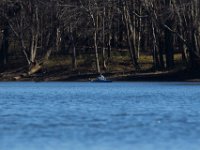 04-12-15-Rocky Gorge-21190