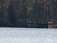 04-18-15-Nanjemoy-21512