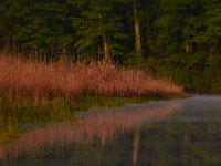05-06-15-Nanjemoy-22649