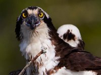 05-07-15-Mattaponi-Selbys-23055