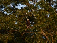 05-23-15-Nanjemoy-23316