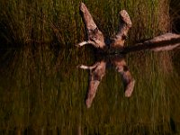 05-24-15-St Marys Lake-23741