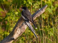 05-24-15-St Marys Lake-23744