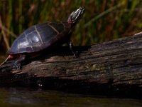 05-24-15-St Marys Lake-23864