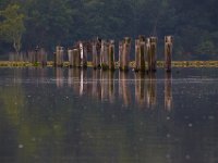 06-15-15-Mattawoman-25071