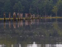 06-15-15-Mattawoman-25092
