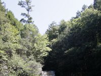 Poconos-July-2015-27761