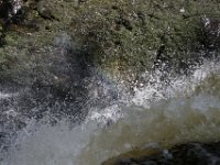 Poconos-July-2015-27777