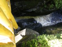 Poconos-July-2015-27792