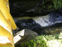 Poconos-July-2015-27795