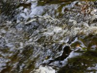 Poconos-July-2015-27801
