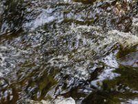 Poconos-July-2015-27803