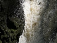 Poconos-July-2015-27822
