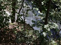 Poconos-July-2015-27859