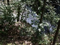 Poconos-July-2015-27860