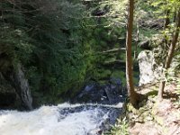 Poconos-July-2015-27877