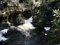 Poconos-July-2015-27927