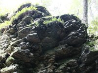 Poconos-July-2015-27947