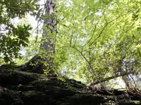 Poconos-July-2015-27950