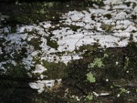 Poconos-July-2015-27954