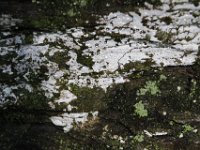 Poconos-July-2015-27956