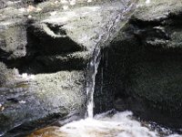 Poconos-July-2015-27958