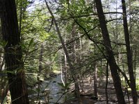 Poconos-July-2015-27965