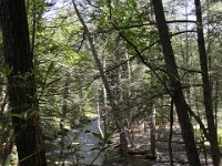 Poconos-July-2015-27966