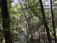 Poconos-July-2015-27967