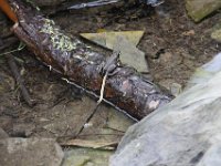 Poconos-July-2015-27974
