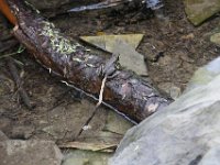 Poconos-July-2015-27975