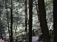 Poconos-July-2015-28050