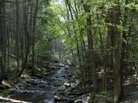 Poconos-July-2015-28105