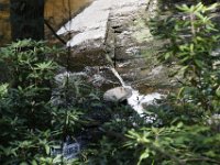 Poconos-July-2015-28112