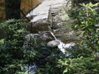 Poconos-July-2015-28113