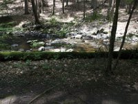 Poconos-July-2015-28178