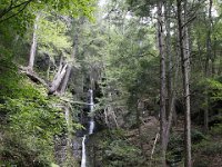 Poconos-July-2015-28213