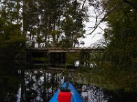 08-11-15-Alligator River-28891