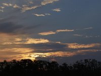 08-11-15-Alligator River-28922
