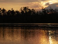 08-11-15-Alligator River-28936