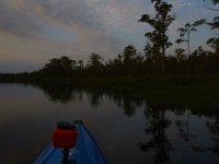 08-11-15-Alligator River-28956