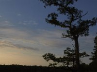 08-11-15-Alligator River-28991