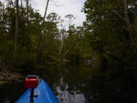 08-11-15-Alligator River-29255
