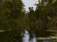 08-11-15-Alligator River-29262